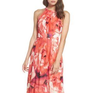 Eliza J Print Chiffon Fit & Flare Maxi Dress